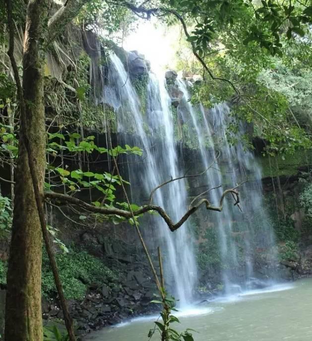 春节归家，十堰火车站旅客行囊里装着哪些故事？