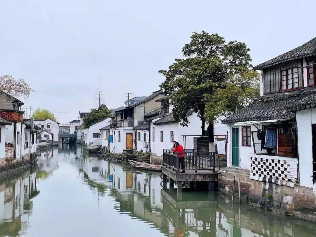 “豹”-2也拯救不了乌克兰,战场状况不断,泽连斯基下场已经注定